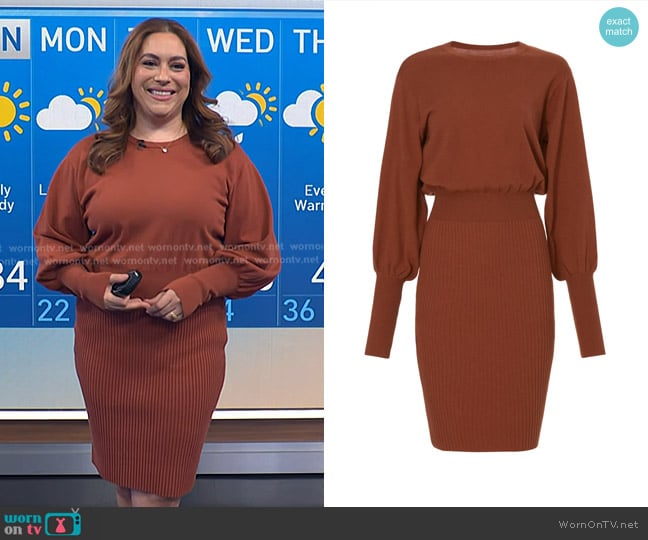 Toccin Sweater Dress in Brown worn by Violeta Yas on NBC News Daily