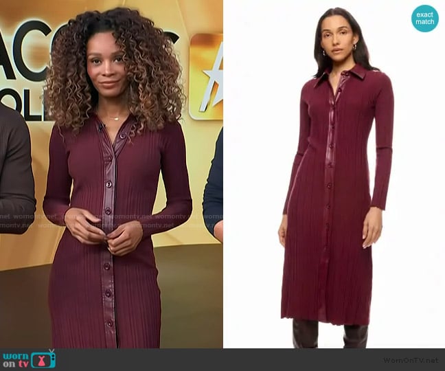 Toccin x RTR Variegated Rib Knit Leather Combo Dress worn by Zuri Hall on Access Hollywood