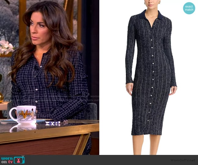 Alyssa’s navy check shirtdress on The View