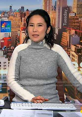 Vicky’s grey and white ribbed sweater on NBC News Daily