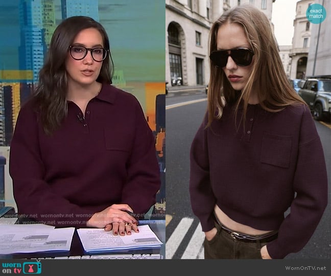 Zara Knit Polo witn Pocket in Burgundy worn by Savannah Sellers on NBC News Daily