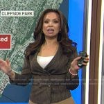 Adelle’s brown stripe blazer on Today