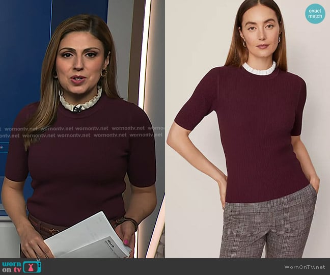 Rana Novini’s burgundy ruffle neck short sleeve sweater on NBC News Daily