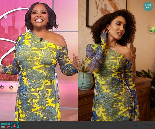 Biageli Dream Safari Midi worn by Sherri Shepherd on Sherri