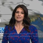 Maria's blue floral v-neck dress on Today