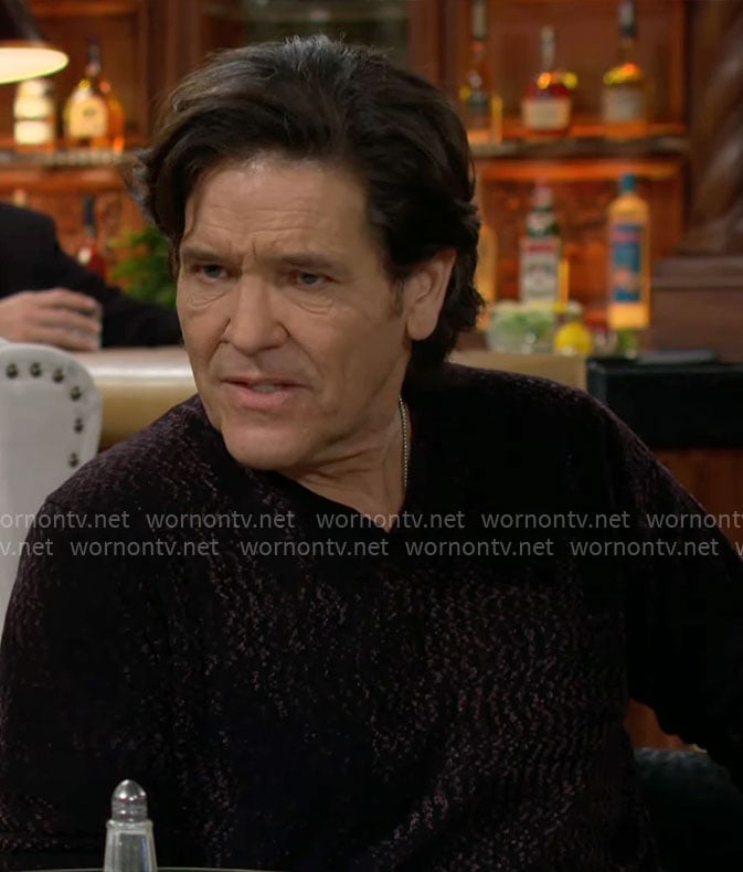 Danny’s textured v-neck sweater on The Young and the Restless