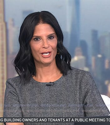 Darlene's grey herringbone dress on Today