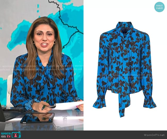 Diane von Furstenberg Tina Crepe Top in Midnight Forest Small Sea Blue worn by Rana Novini on Today
