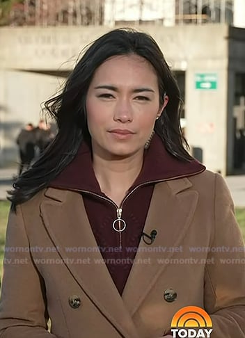 Emile's purple half-zip sweater and brown coat on Today