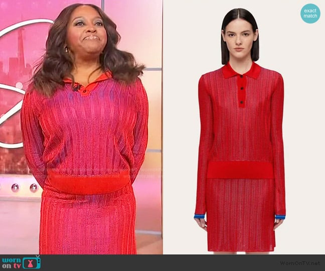 Ferragamo Long sleeved polo shirt worn by Sherri Shepherd on Sherri