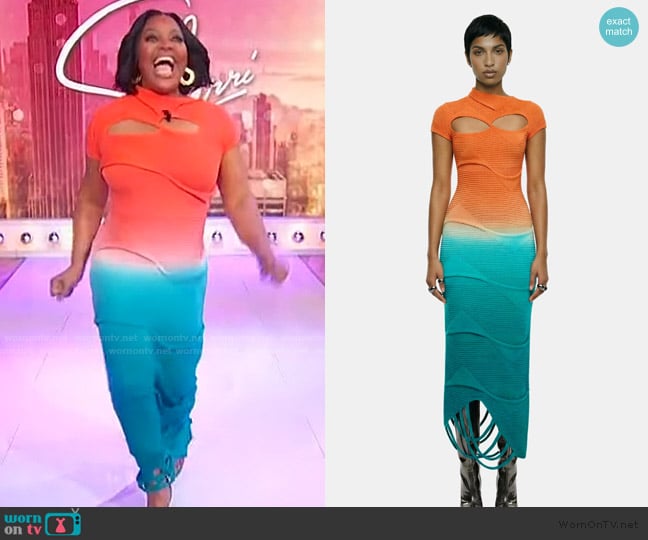 Hanifa Taliah Knit Dress worn by Sherri Shepherd on Sherri