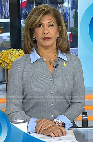 Hoda's grey collared cardigan on Today