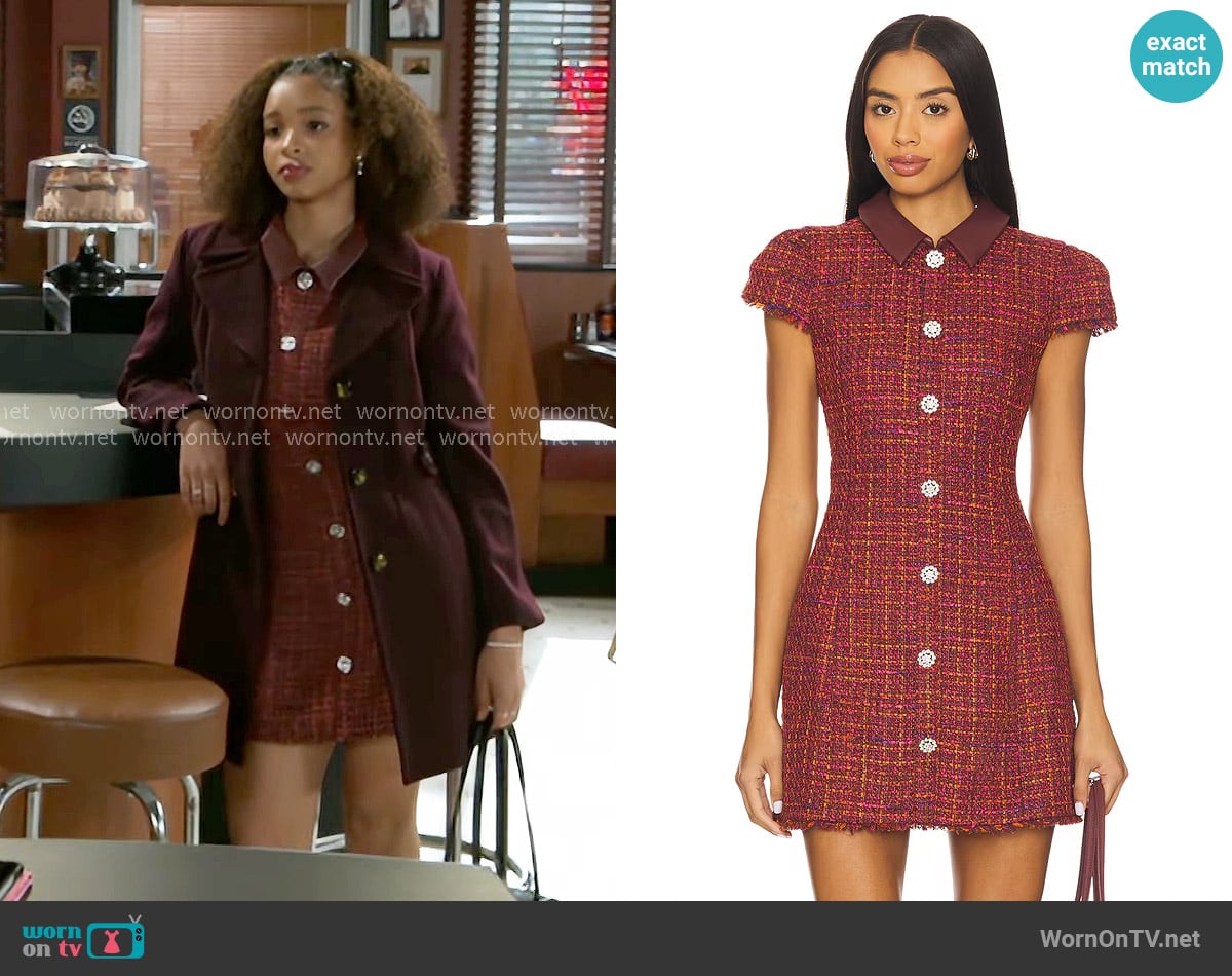 Likely Riello Dress in Wine worn by Francesca Belleclaire (Madison Alsobrook) on Beyond the Gates