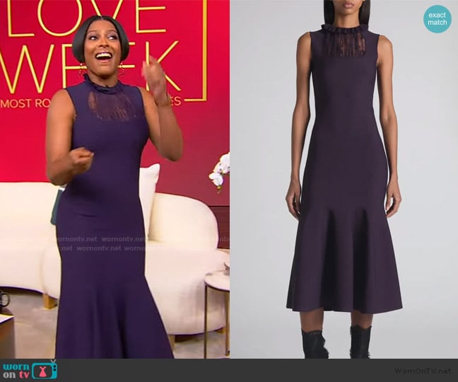 McQueen Lace Panel Flared Midi Dress worn by Tamron Hall on Tamron Hall Show