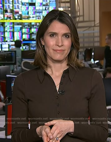 Molly’s brown polo dress on Today