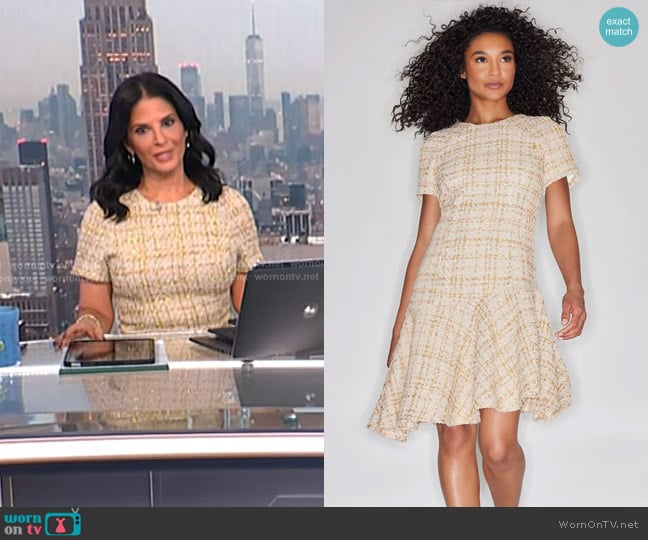 N Natori Sparkle Tweed Short Sleeve Flounce Dress worn by Darlene Rodriguez on Today