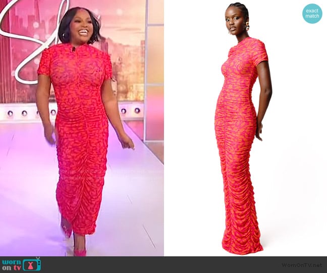 Ofuure Raye Ruched Maxi Mesh Dress worn by Sherri Shepherd on Sherri