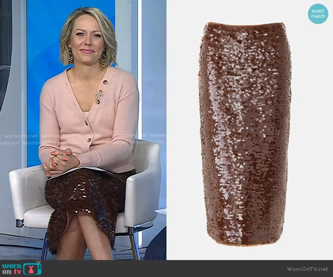 One of Others Kendall Skirt worn by Dylan Dreyer on Today