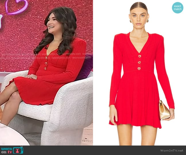 Self Portrait Pointelle Knit Mini Dress worn by Logan Ury on Today