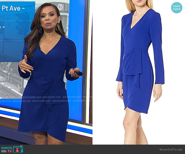 Shoshanna Lior Dress in Royal Blue worn by Adelle Caballero on Today