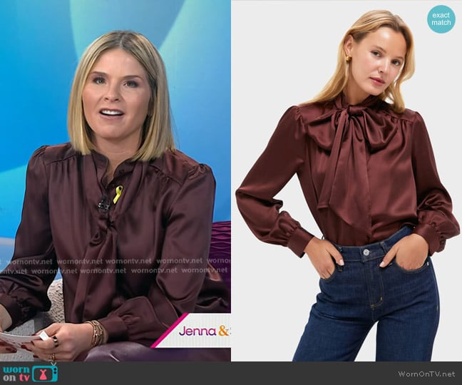 Jenna’s brown tie neck blouse on Today Jenna’s brown tie neck blouse on Today