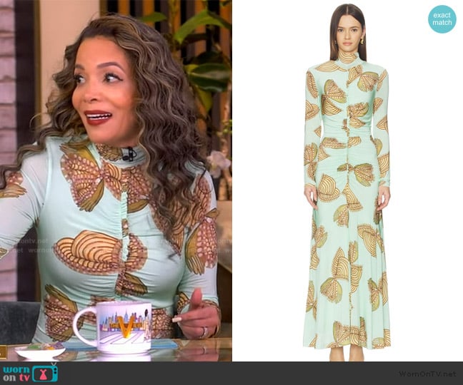 Sunny’s butterfly print dress on The View