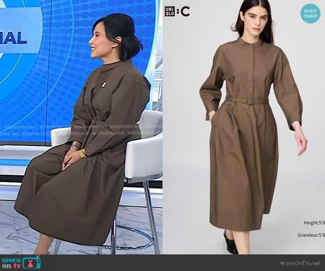 Vicky’s bornw long sleeve poplin dress on Today