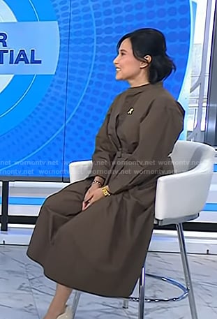 Vicky’s bornw long sleeve poplin dress on Today
