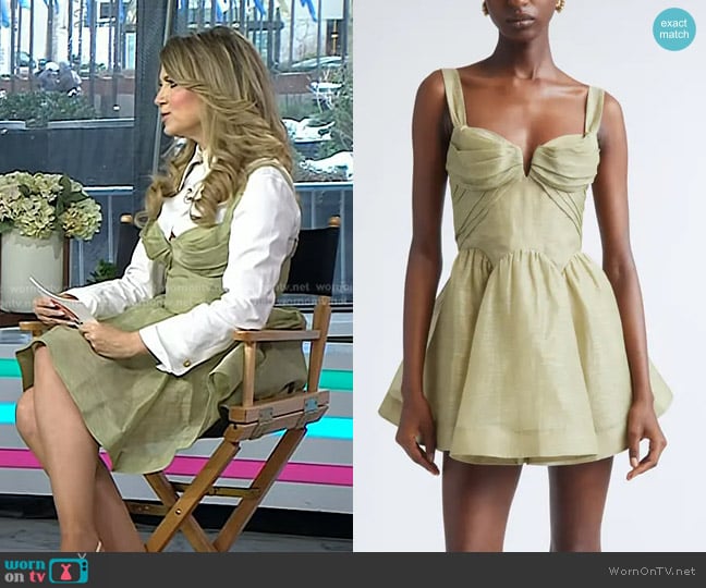 Nikki Novak’s green mini dress on Today