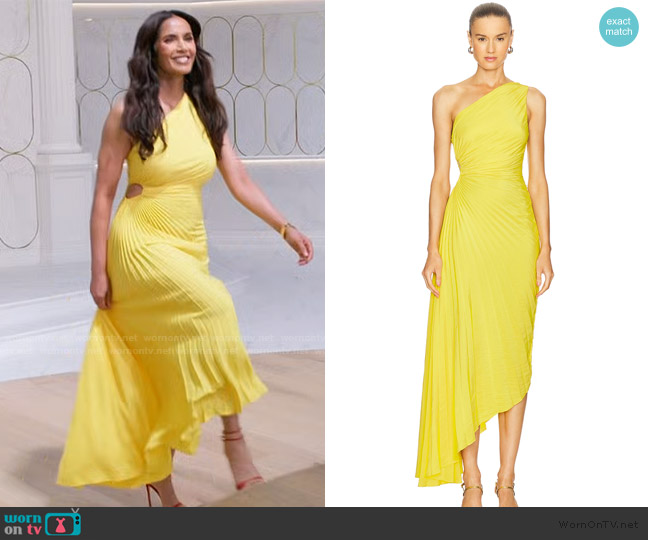 A.L.C. Delfina Dress worn by Padma Lakshmi on Americas Culinary Cup
