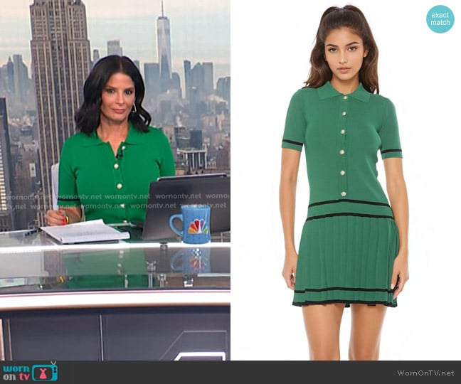 Alexia Admor Lucinda Fully Knit Collared Short Sleeve Dress worn by Darlene Rodriguez on Today