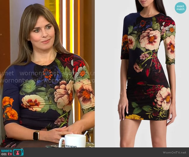 Alice + Olivia Delora Dress in Magic Garden Gradient