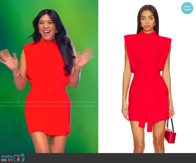 Lisa’s red tie front dress on Tamron Hall Show