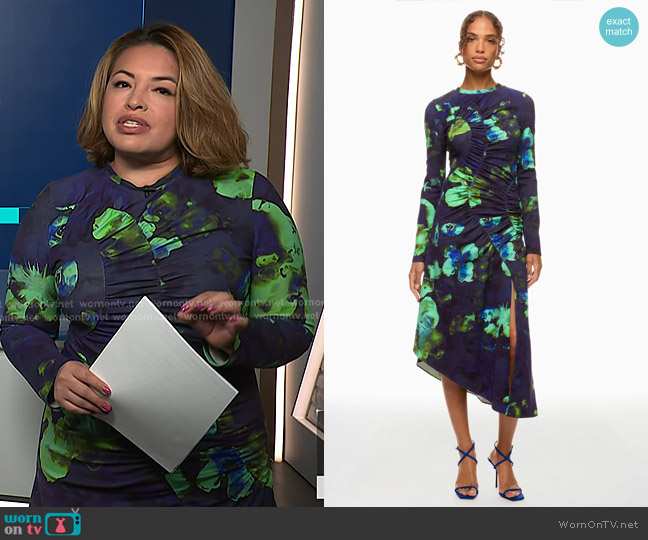 Amur Milani Floral Ruched Midi-Dress worn by Gilma Avalos on NBC News Daily