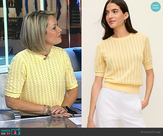Ann Taylor Pointelle Sweater Tee in Sun Soaked worn by Dylan Dreyer on Today