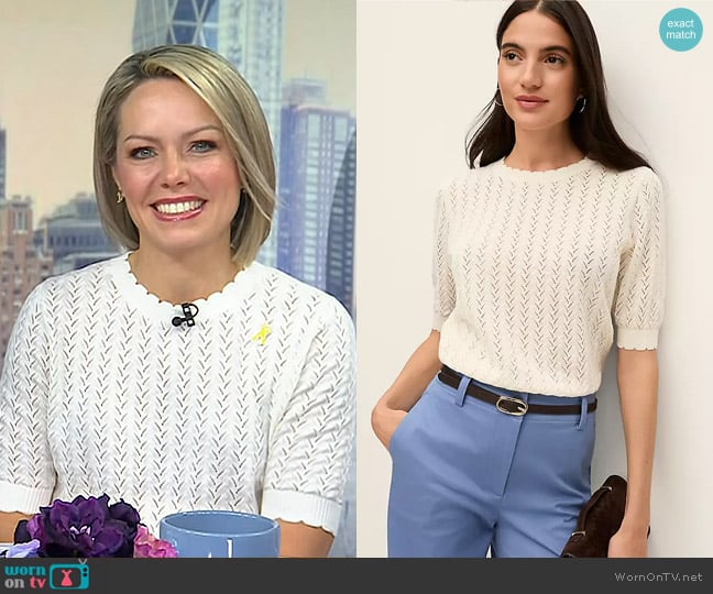 Ann Taylor Pointelle Sweater Tee in Winter White worn by Dylan Dreyer on Today