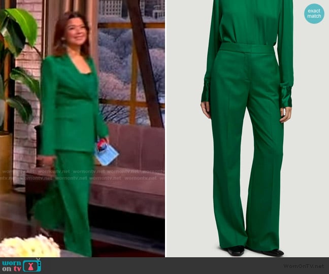 Argent Wide Leg Trouser in Seasonless Wool worn by Ana Navarro on The View