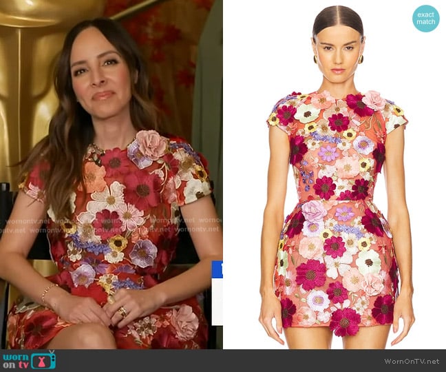 Bronx and Banco Jasmine Cap Sleeve Mini Dress worn by Lilliana Vazquez on Good Morning America