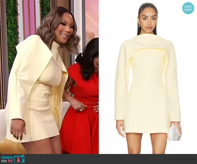 Cult Caia Almina Dress worn by Angela Oakley on Sherri