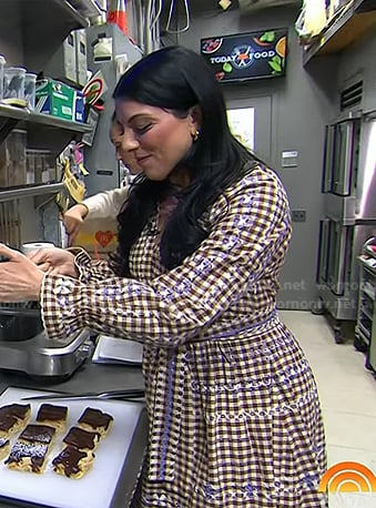 Danielle Sepsy’s brown check embroidered dress on Today