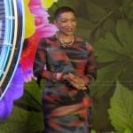 Deja Vu’s abstract print mesh dress on Live with Kelly and Mark