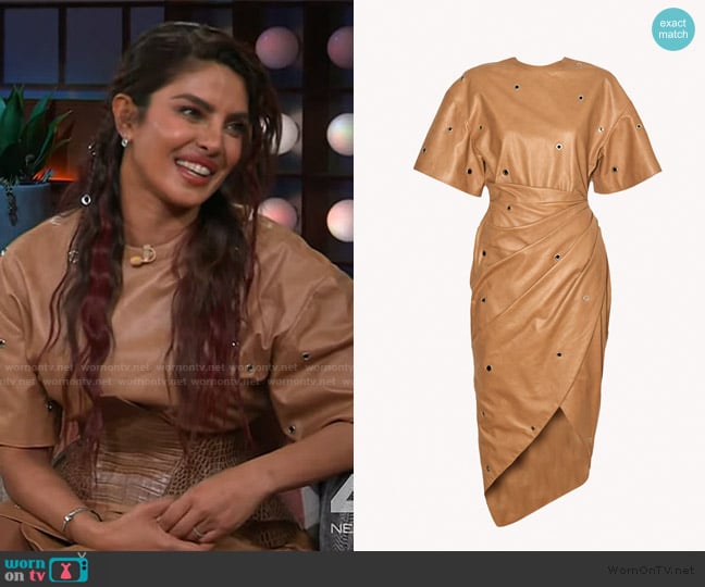 Epuzer Embroidered leather dress in mocha worn by Priyanka Chopra on The Kelly Clarkson Show
