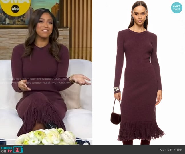 Eudon Choi Long Sleeve Knit Fringe Dress worn by Morgan Norwood on Good Morning America
