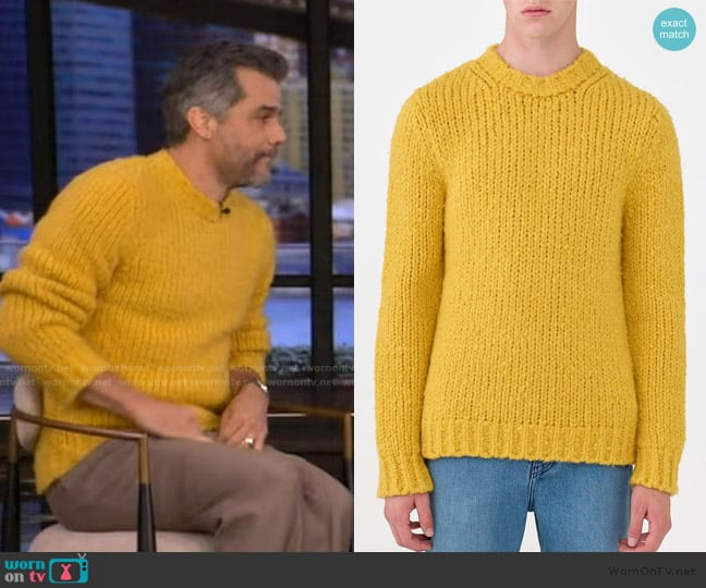 Gabriela Hearst Lawrence Knit Sweater in Golden Birch Welfat Cashmere worn by Wagner Moura on Live with Kelly and Mark