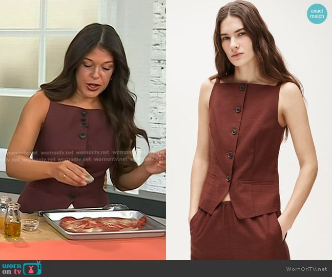 Mia Castro’s brown sleeveless button front top on Today