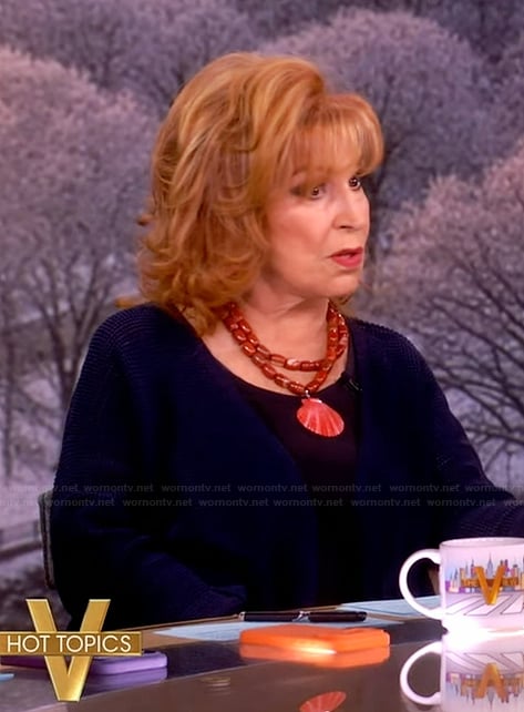 Joy’s blue cardigan and necklace on The View