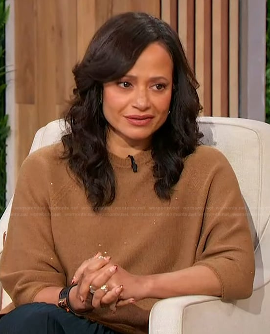Judy Reyes' brown sequin sweater on Sherri