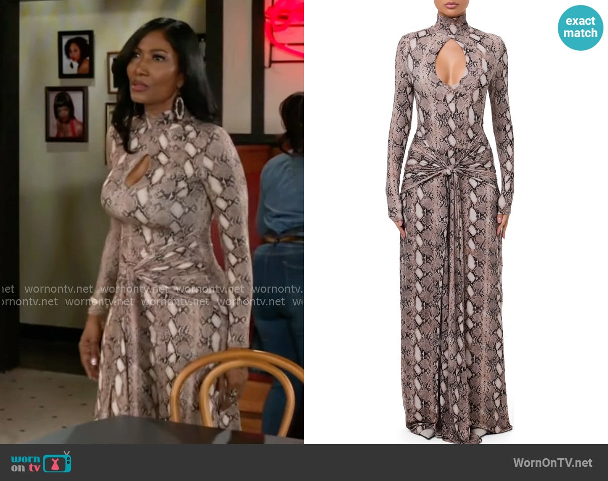 Naked Wardrobe Snake Print Long Sleeve Maxi Dress worn by Dana 'Leslie' Thomas (Trisha Mann-Grant) on Beyond the Gates