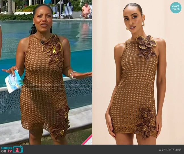 PatBO Gaia Knit Mini Dress in Brown worn by Sheinelle Jones on Today
