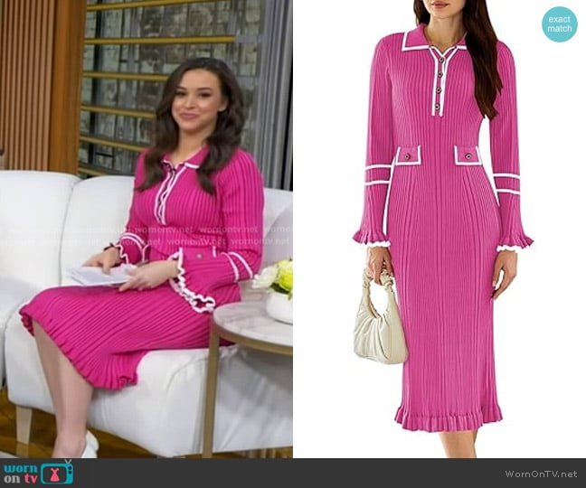 Pink Queen at Amazon Bodycon Sweater Dress worn by Hanna Battah on Good Morning America